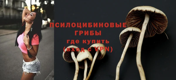 соль курить ск Арсеньев