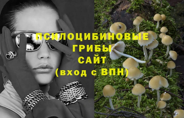 первитин Армянск